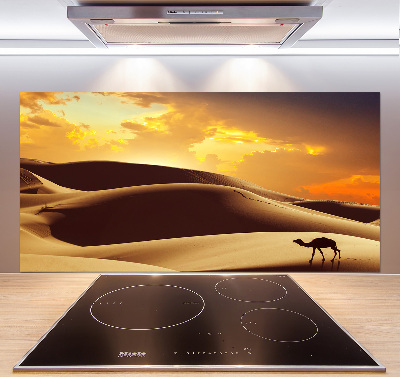 Keuken achterwand Sahara-kameel