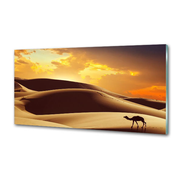 Keuken achterwand Sahara-kameel