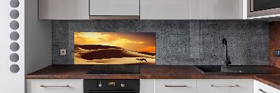 Keuken achterwand Sahara-kameel