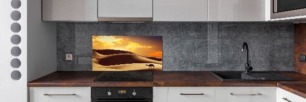 Keuken achterwand Sahara-kameel
