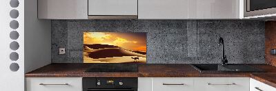 Keuken achterwand Sahara-kameel