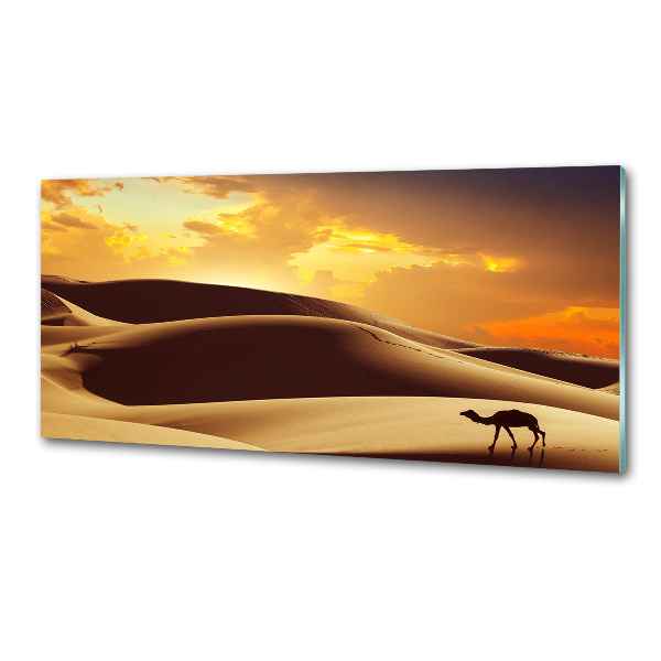 Keuken achterwand Sahara-kameel