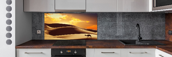 Keuken achterwand Sahara-kameel