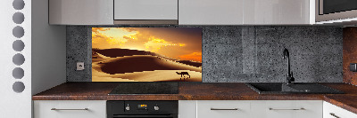 Keuken achterwand Sahara-kameel