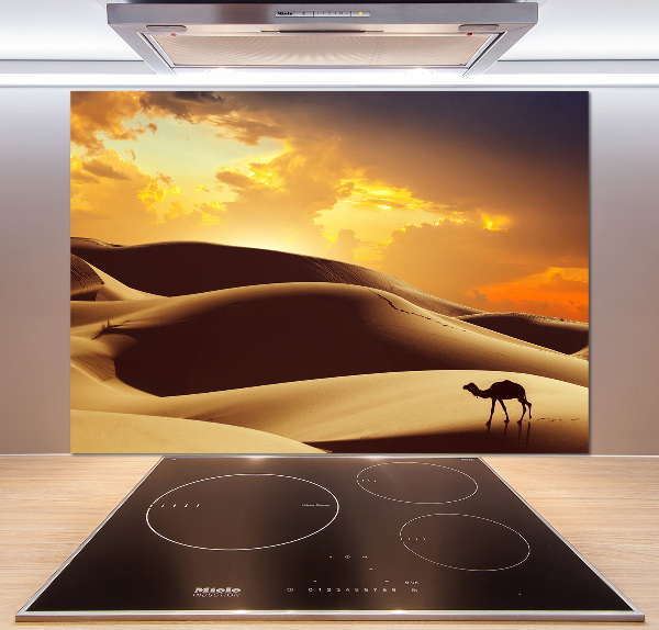 Keuken achterwand Sahara-kameel