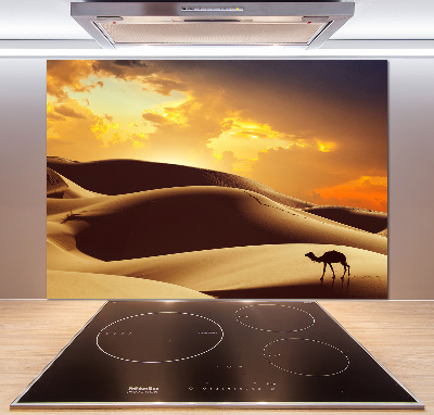 Keuken achterwand Sahara-kameel