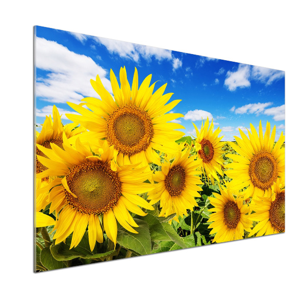 Achterwand keuken Zonnebloemen