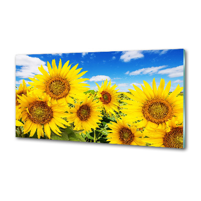 Achterwand keuken Zonnebloemen