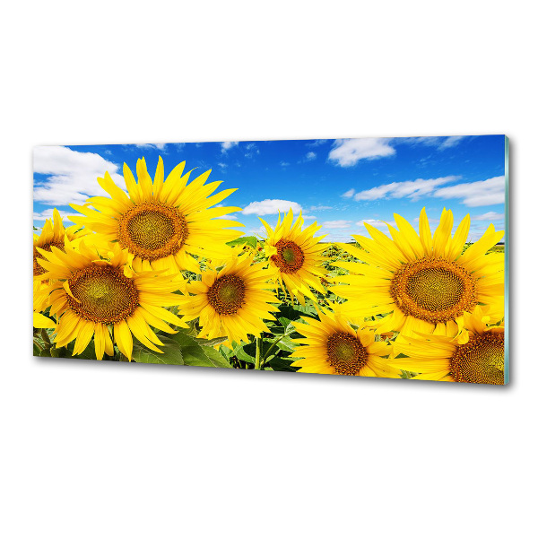 Achterwand keuken Zonnebloemen