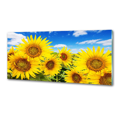 Achterwand keuken Zonnebloemen