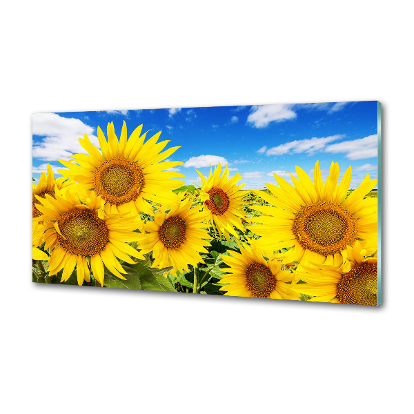 Achterwand keuken Zonnebloemen