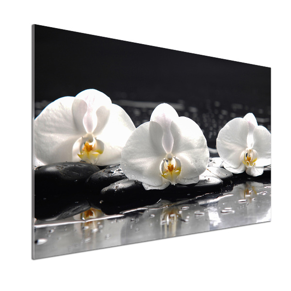 Spatscherm keuken Orchidee