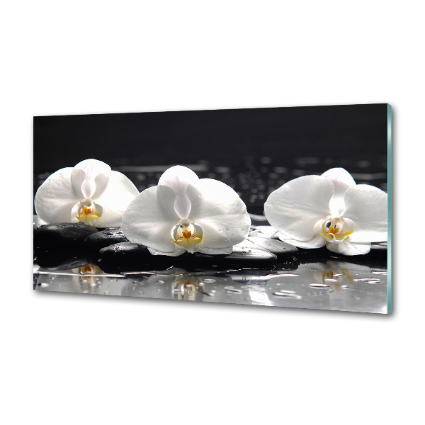 Panel między meble w kuchni Orchidea