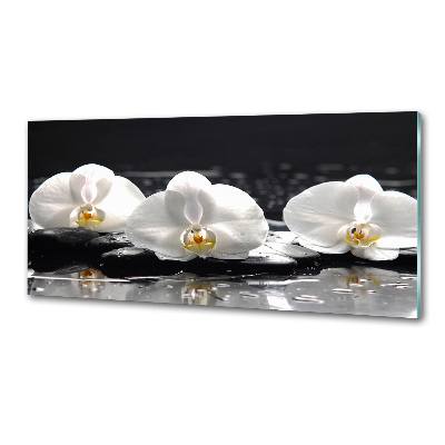 Panel między meble w kuchni Orchidea