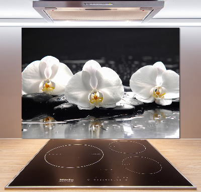 Spatscherm keuken Orchidee