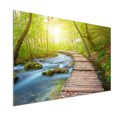 Keuken achterwand Pad in het bos