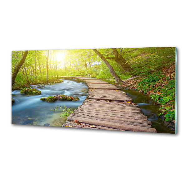 Keuken achterwand Pad in het bos
