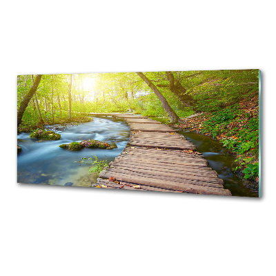Keuken achterwand Pad in het bos