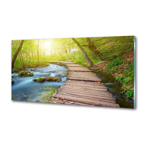 Keuken achterwand Pad in het bos