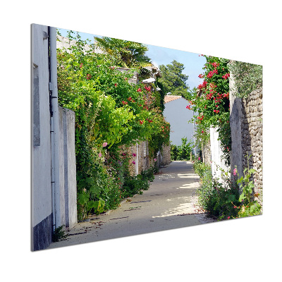 Glazen achterwand keuken Bloemensteeg