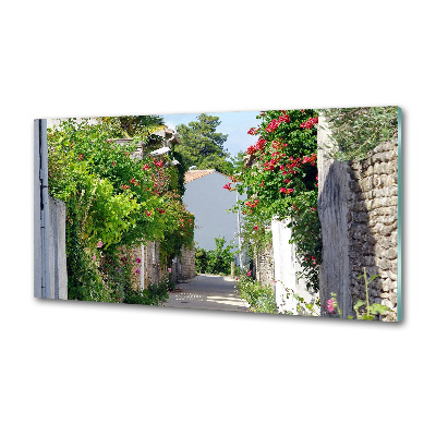 Glazen achterwand keuken Bloemensteeg
