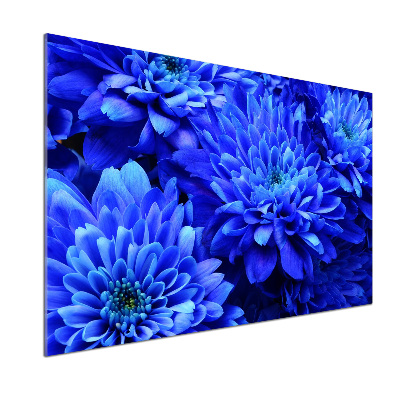 Spatplaat keuken Blauwe aster