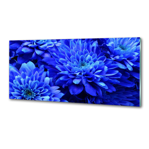 Spatplaat keuken Blauwe aster