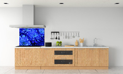 Spatplaat keuken Blauwe aster