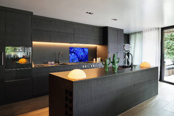 Spatplaat keuken Blauwe aster