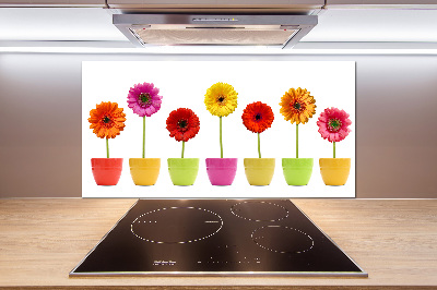 Keuken achterwand Kleurrijke gerbera's