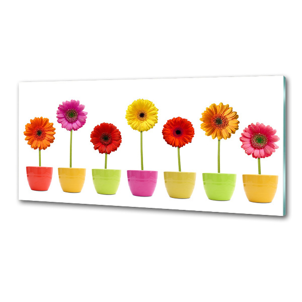 Keuken achterwand Kleurrijke gerbera's