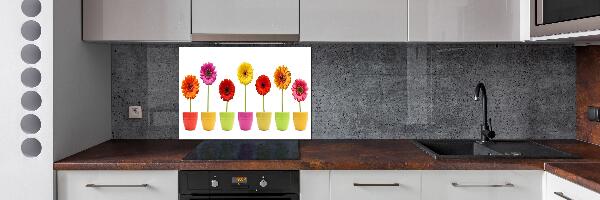Keuken achterwand Kleurrijke gerbera's