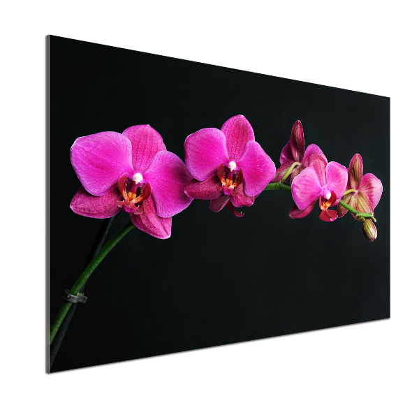 Achterwand keuken Orchidee