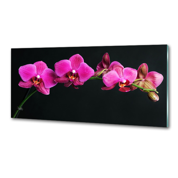 Achterwand keuken Orchidee
