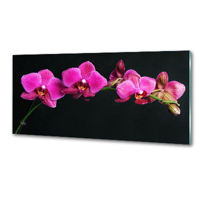 Achterwand keuken Orchidee