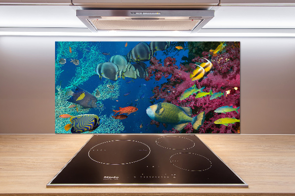 Glazen achterwand keuken Koraalrif