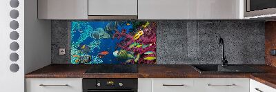 Glazen achterwand keuken Koraalrif