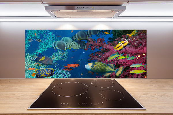 Panel do kuchni Rafa koralowa