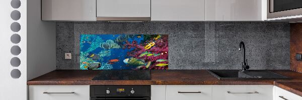 Glazen achterwand keuken Koraalrif