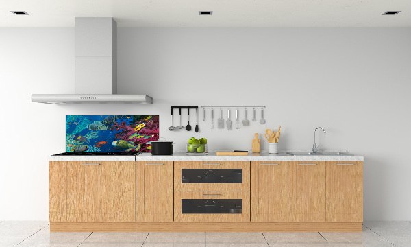 Glazen achterwand keuken Koraalrif