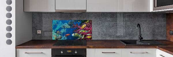 Glazen achterwand keuken Koraalrif