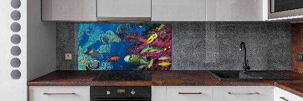 Glazen achterwand keuken Koraalrif