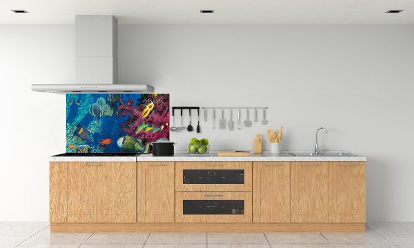 Glazen achterwand keuken Koraalrif