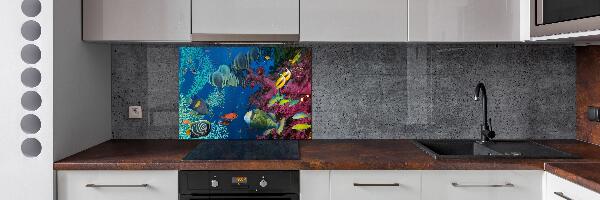 Glazen achterwand keuken Koraalrif