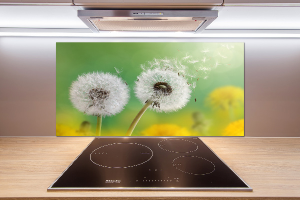 Spatplaat keuken Paardenbloemen