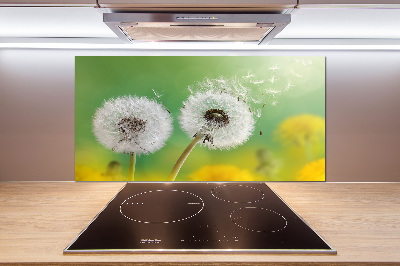 Spatplaat keuken Paardenbloemen