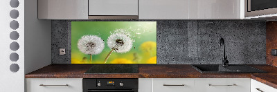 Spatplaat keuken Paardenbloemen