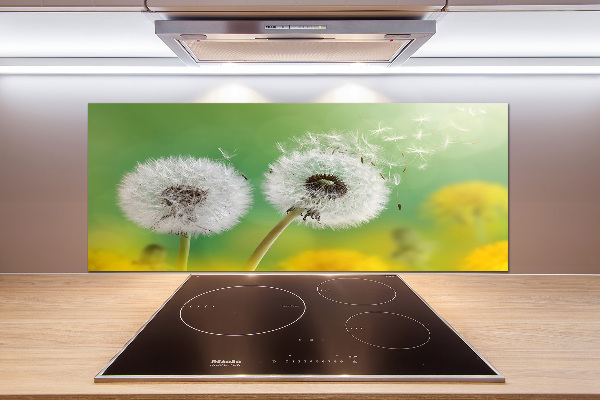 Spatplaat keuken Paardenbloemen