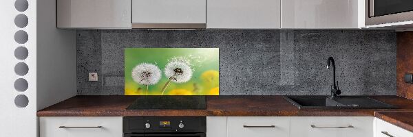 Spatplaat keuken Paardenbloemen