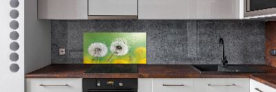Spatplaat keuken Paardenbloemen